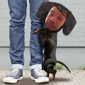 Meet your Posher, Victor